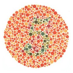 test ishihara 38 planches