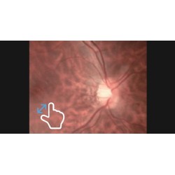 Un écran tactile de 4,3" soit 11 cm